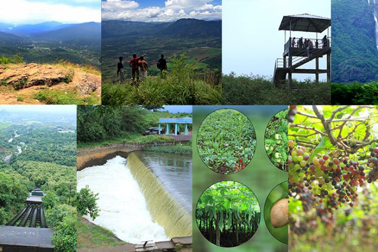 Thekkady Jeep Safari